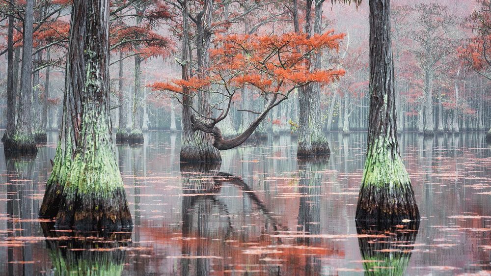 Туманное настроение