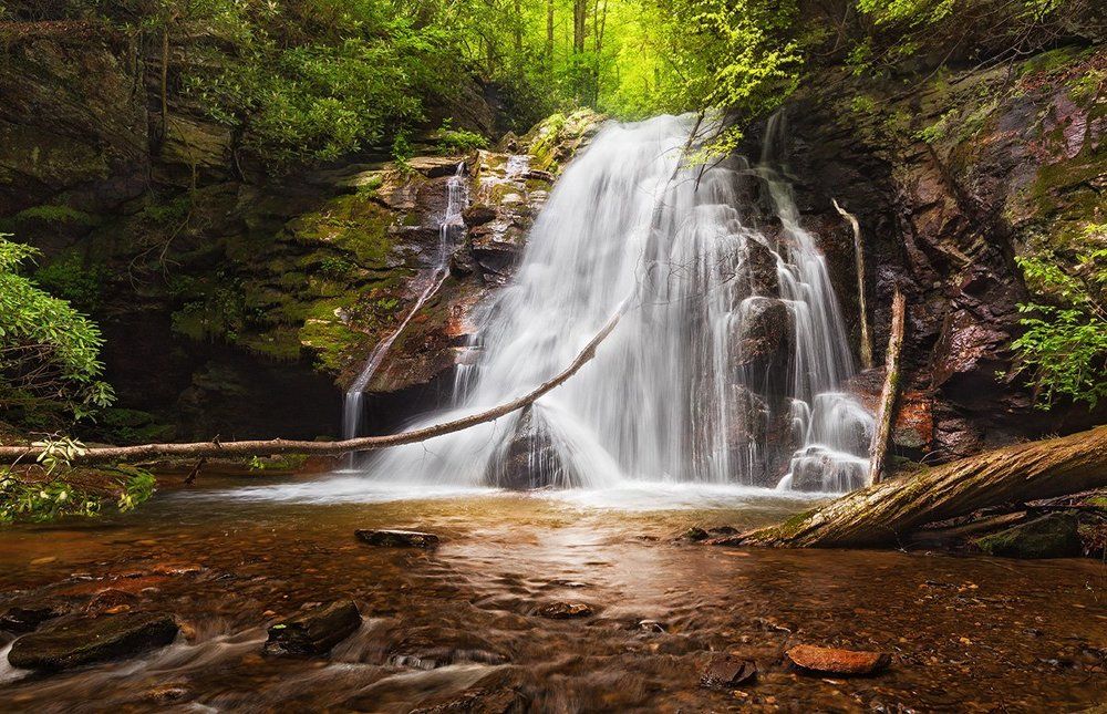 В сказочном лесу