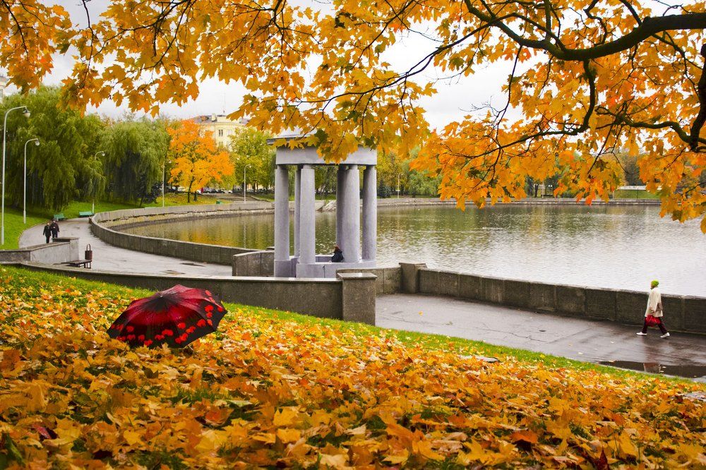 Осенние краски