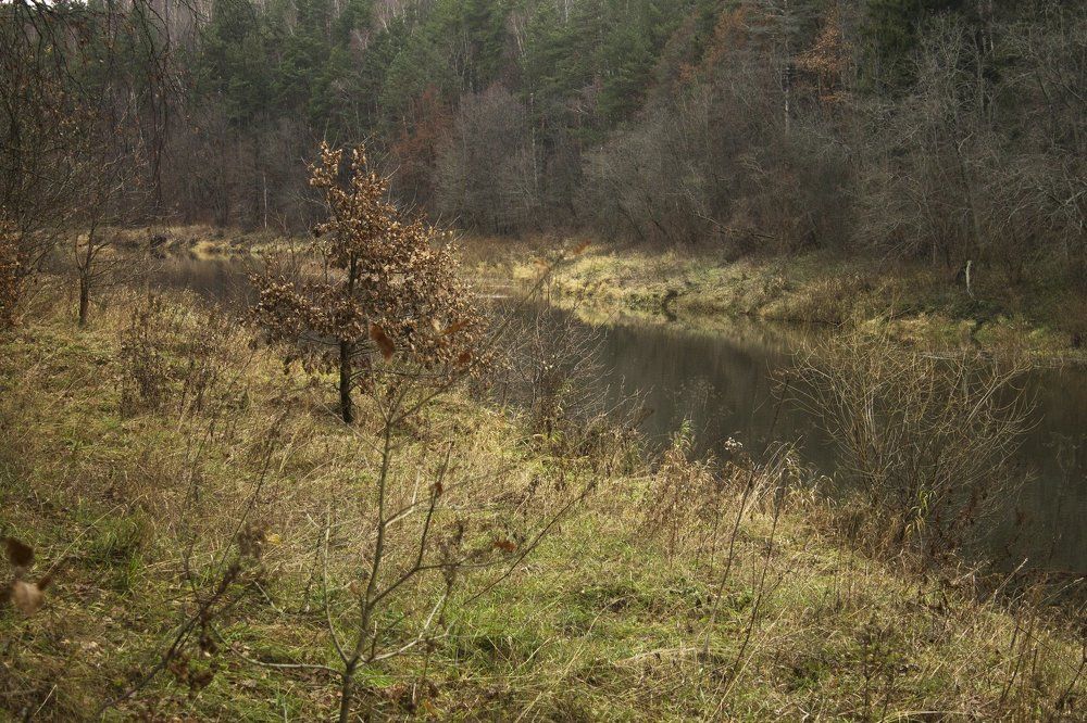 На реке
