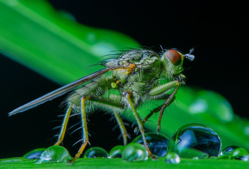 После дождя