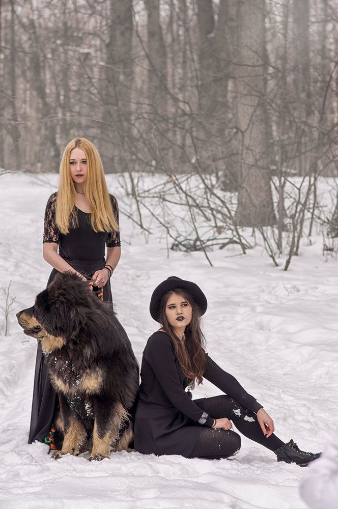 Зима, девушки, собака...