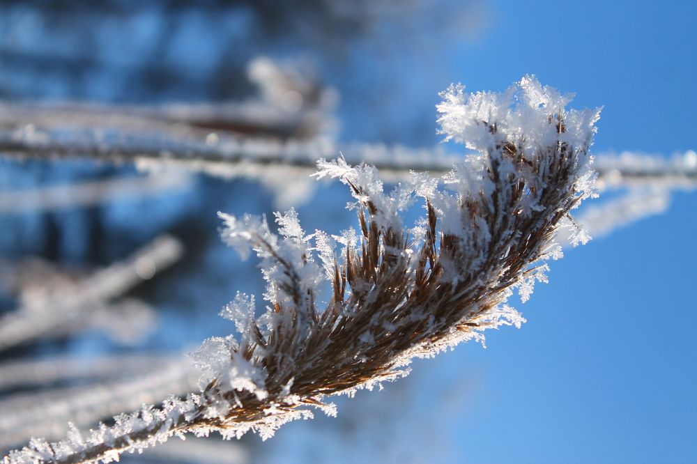 Ясный день.