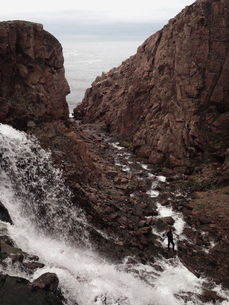 Прикосновение природы