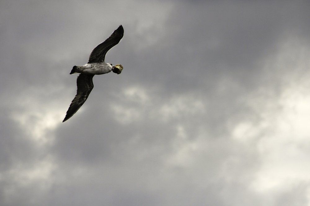 Photograph by yassine tya