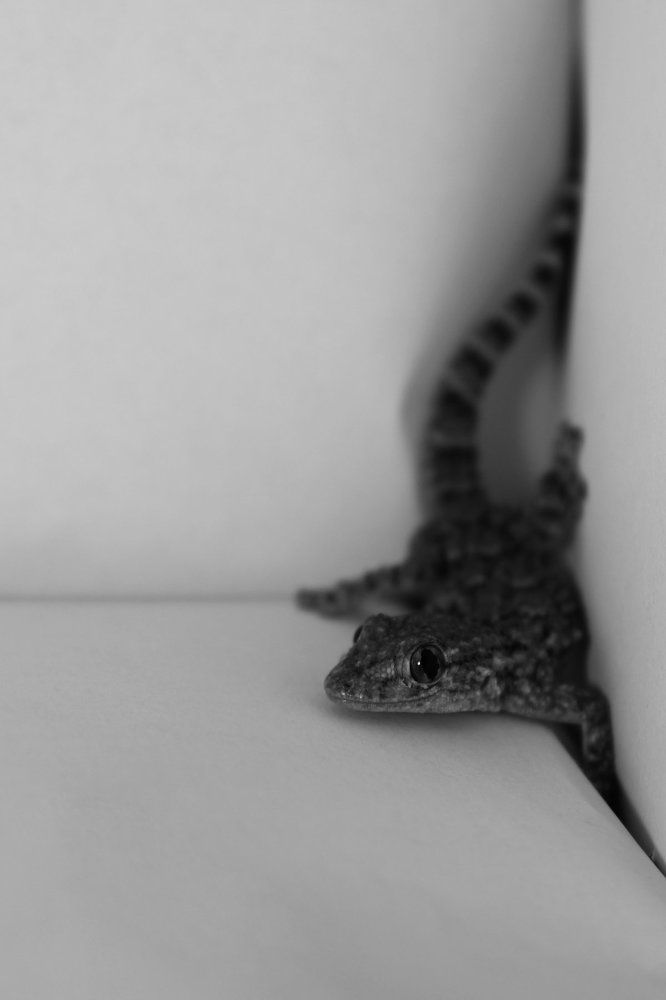 Photograph by yassine tya