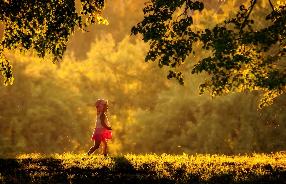 Красная шапочка