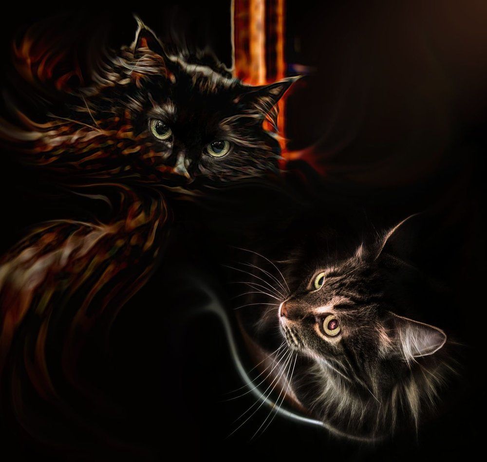 Кот Шредингера в гостях у демона Максвелла