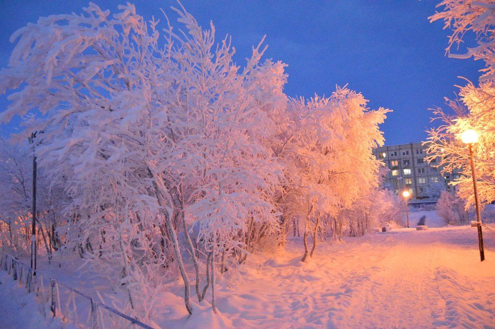 Photograph by наталья мирошниченко