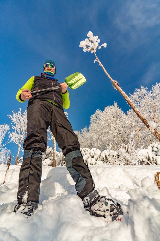 В стране великанов