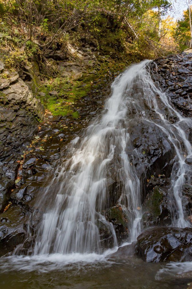 затеряный в глуши