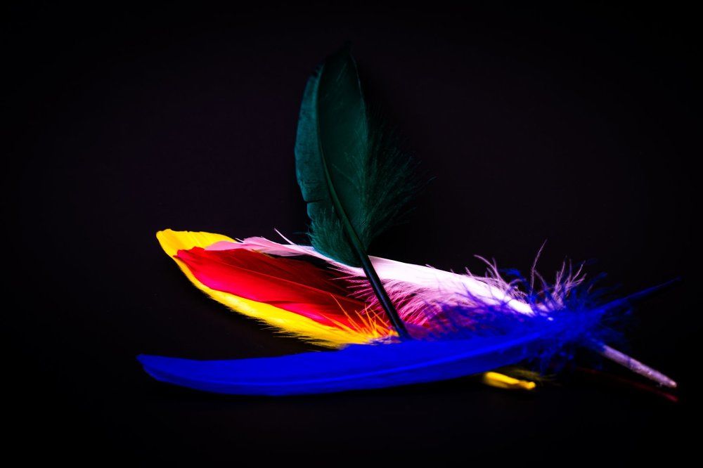 FEATHERS