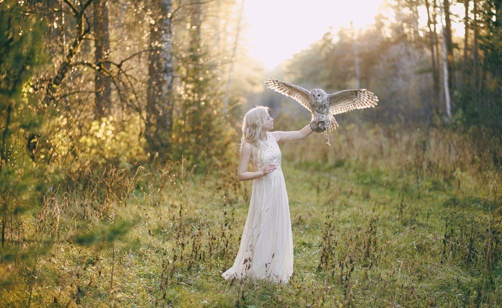 Photograph by Тодоров Димитър