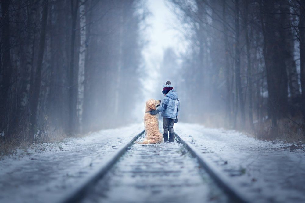 Мой лучший друг