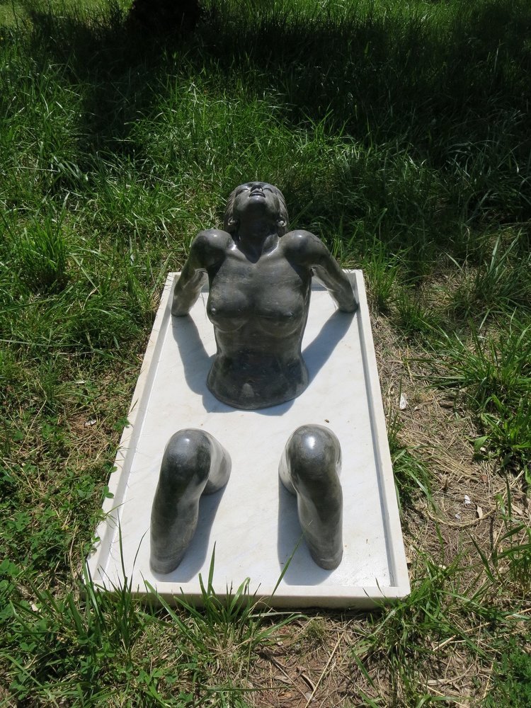 Вырваться на свободу.