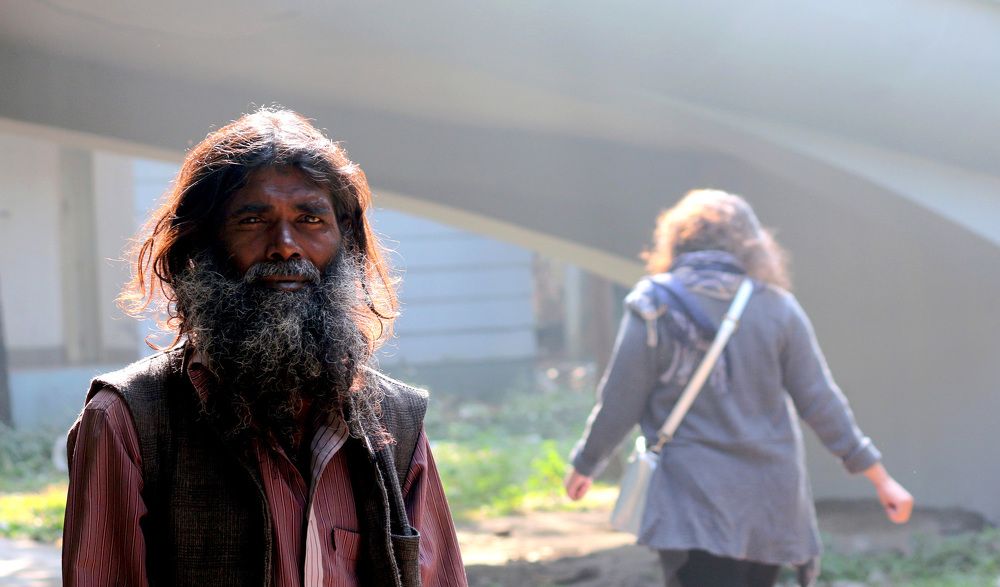 magic of morning park