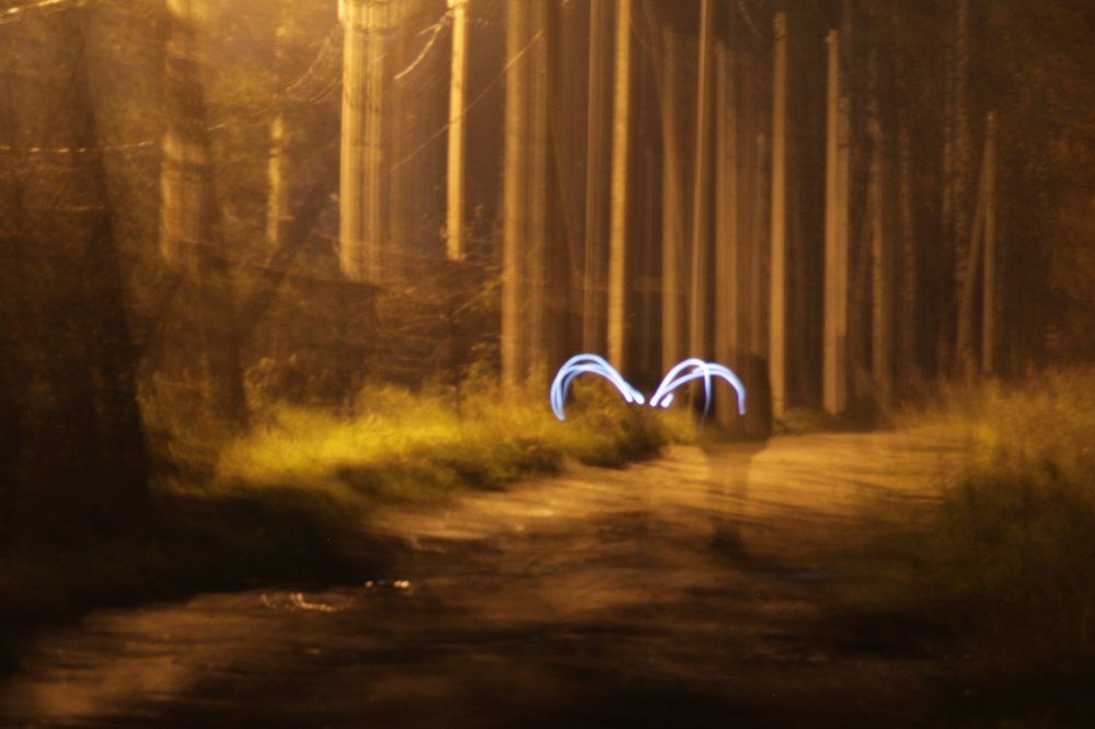 там, на неведомых дорожках