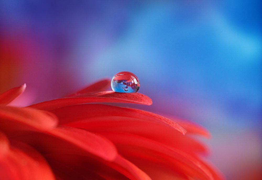 Photograph by Кабыжакова Валерия