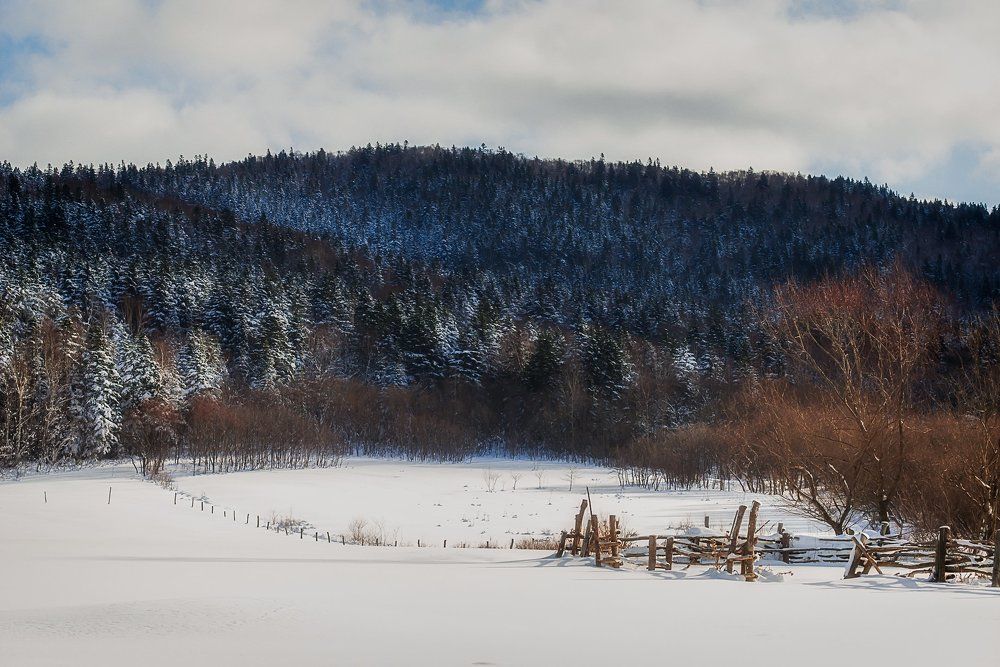 взгляд городского человека...