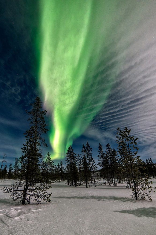 Сияние в лунную ночь