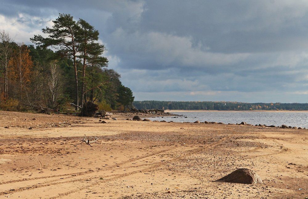 Осенний день на берегу залива