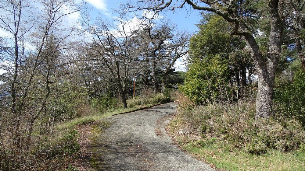 Photograph by Марина Хабибулина