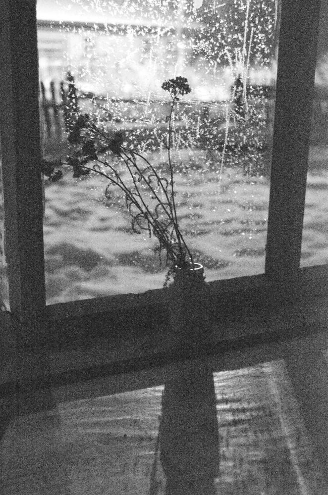 Зимний натюрморт