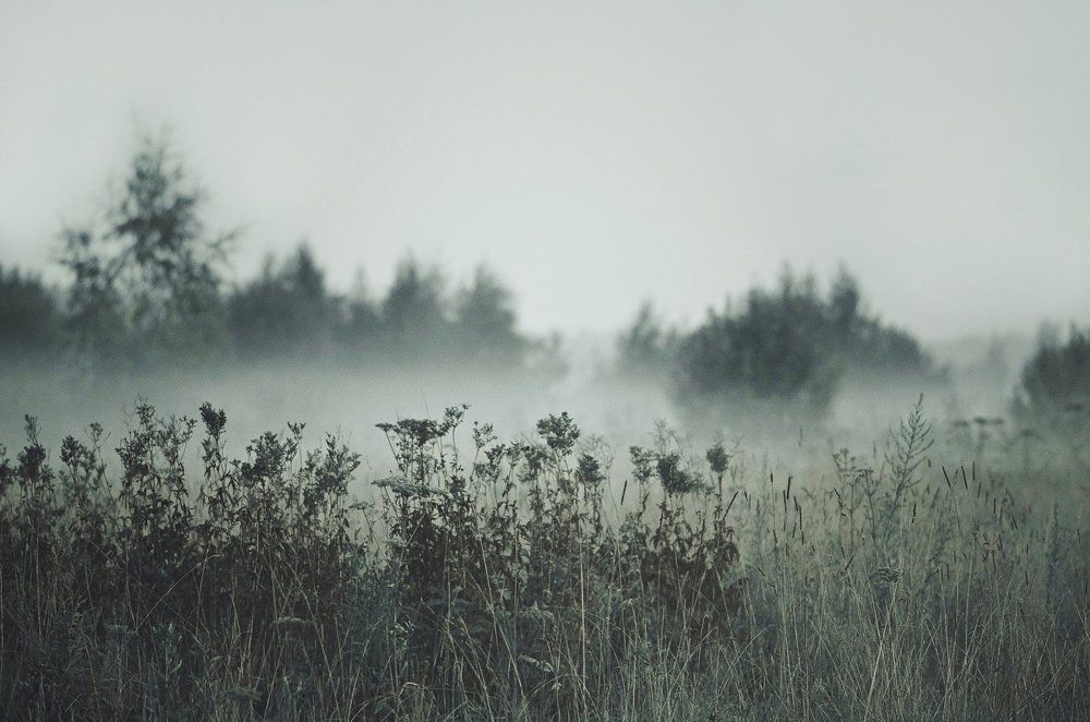 Photograph by Anna Saltykowa