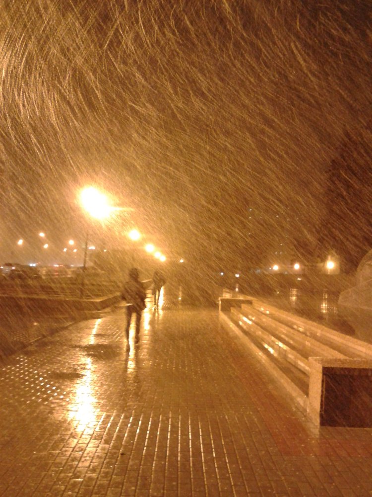 Весенняя метель