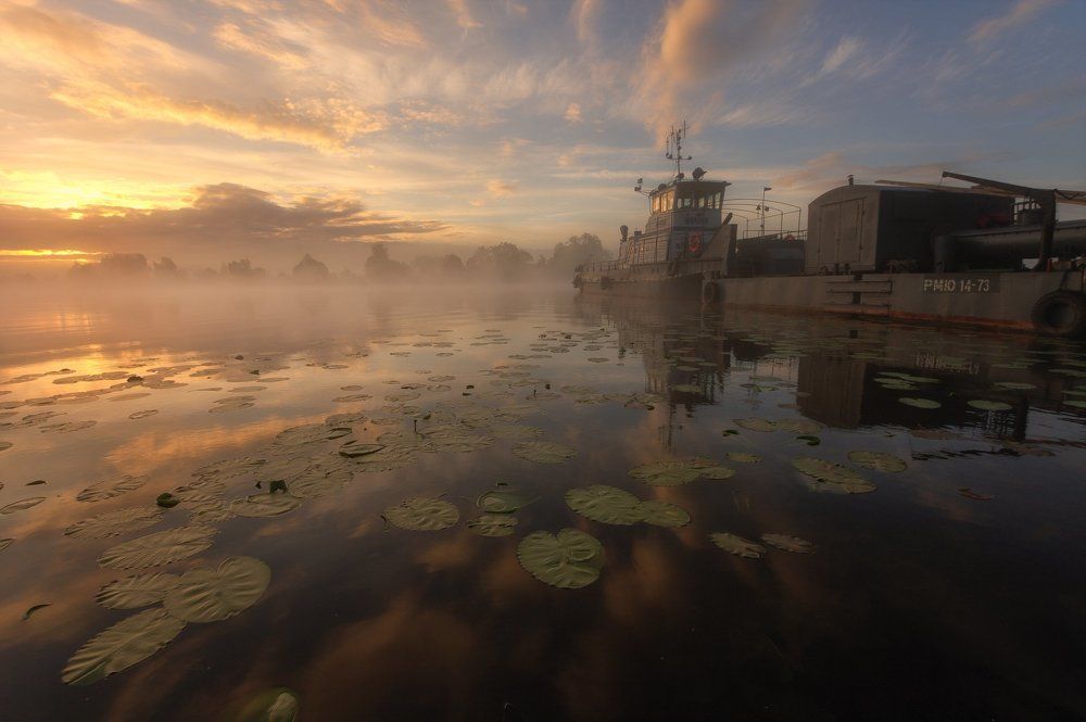 Доброе утро.