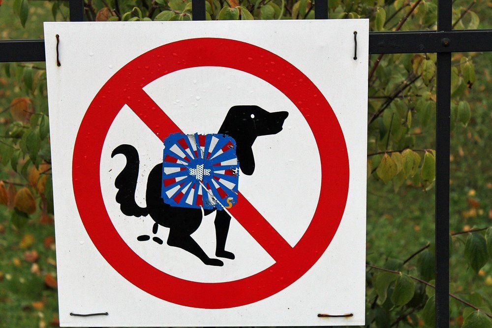 Такие разные знаки...