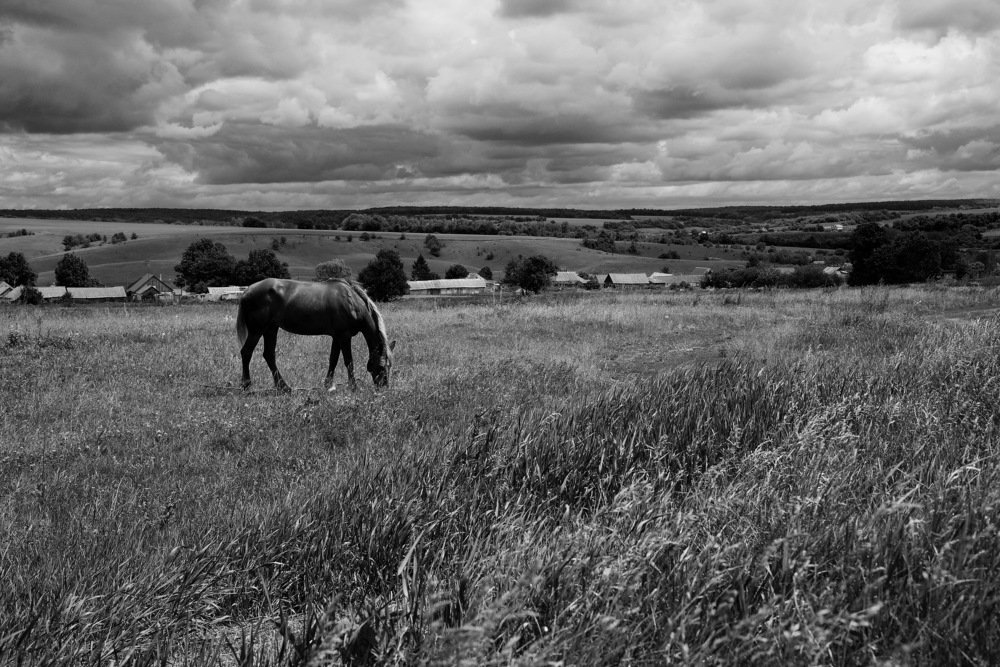 Это все мое, родное