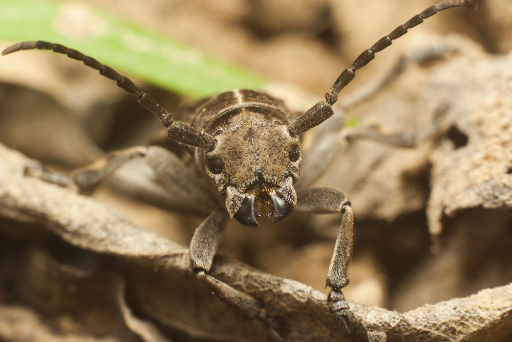 Photograph by Игорь Мальцев