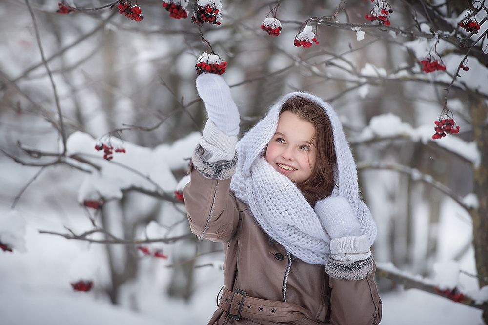 зимняя рябинка)