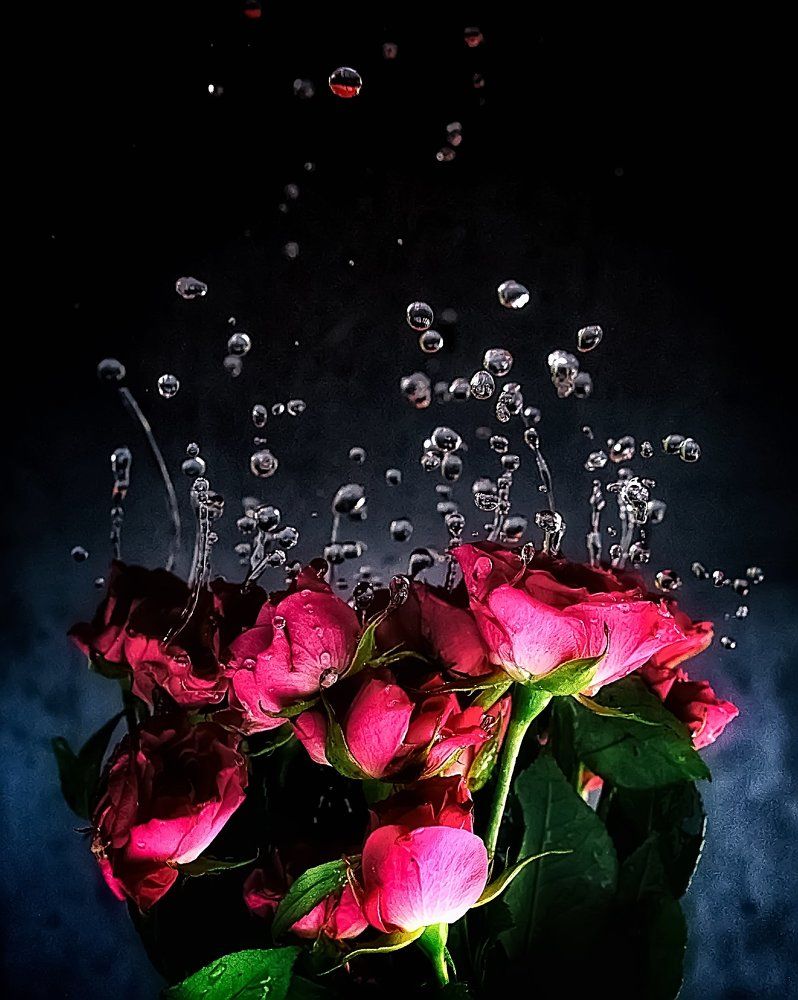 Гравитация