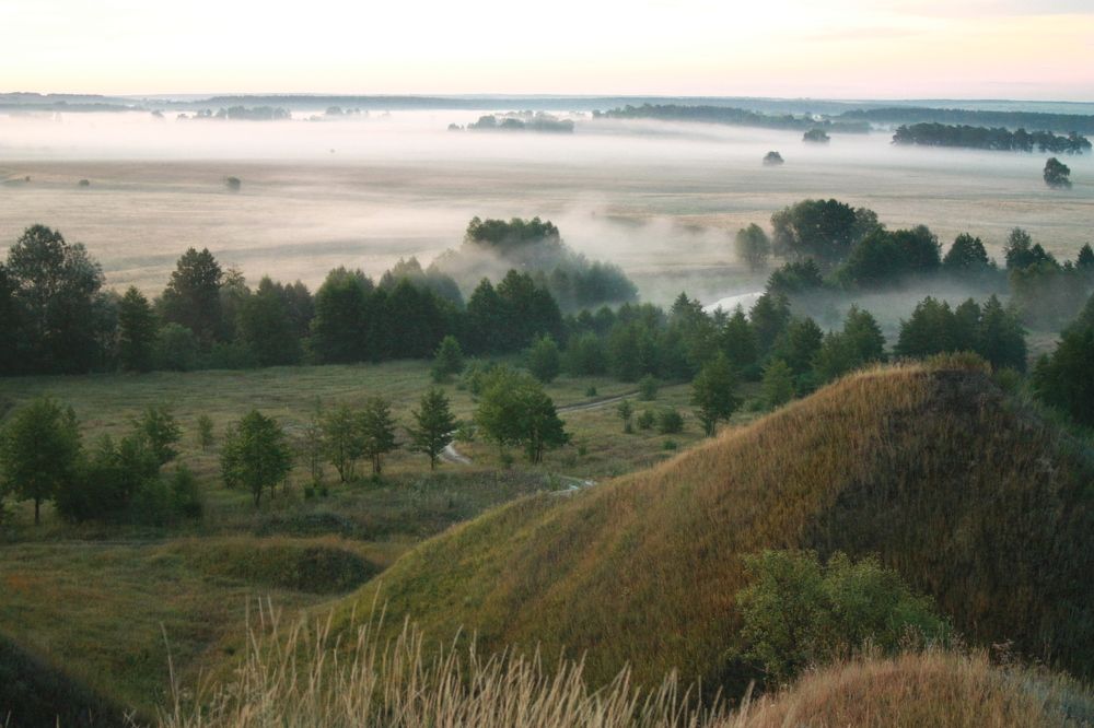 Туманное утро
