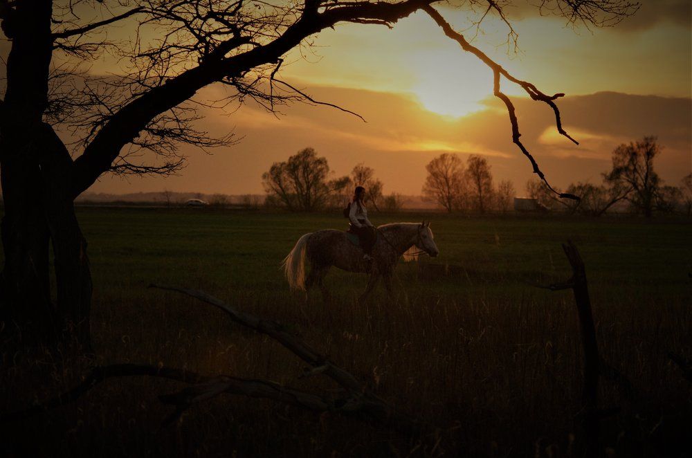 Photograph by Нелли