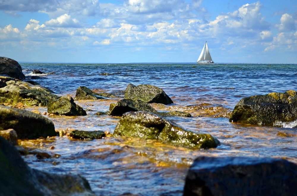 Белеет парус...