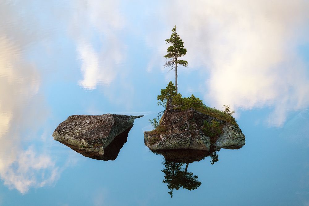 Стремление к жизни