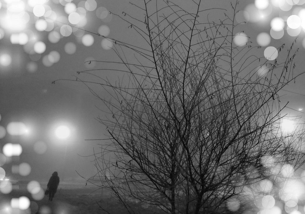 Зимнее утро