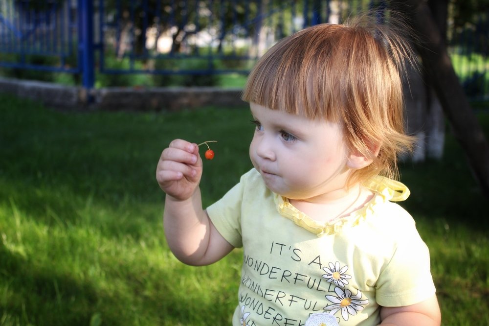 Видеть большое в малом.