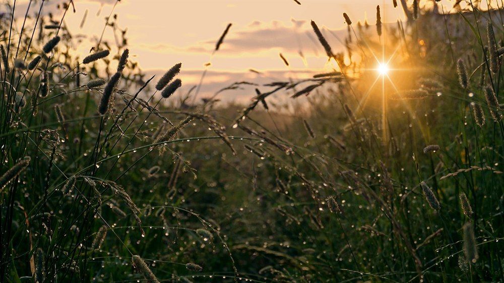 Фотография автора Дарина Соболь