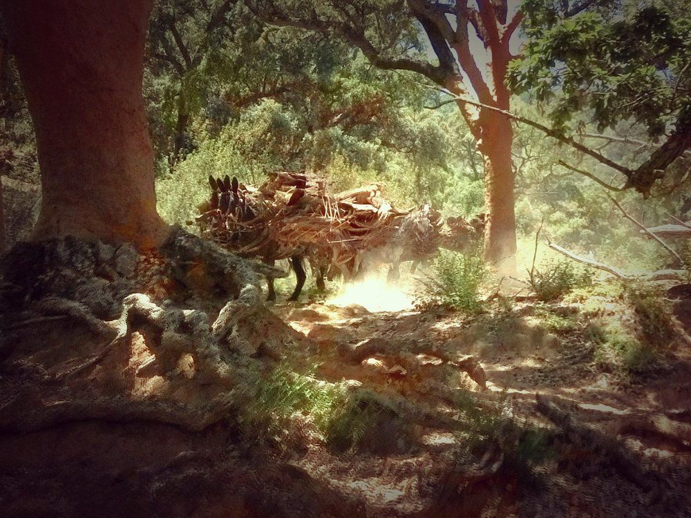 Заготовка пробки