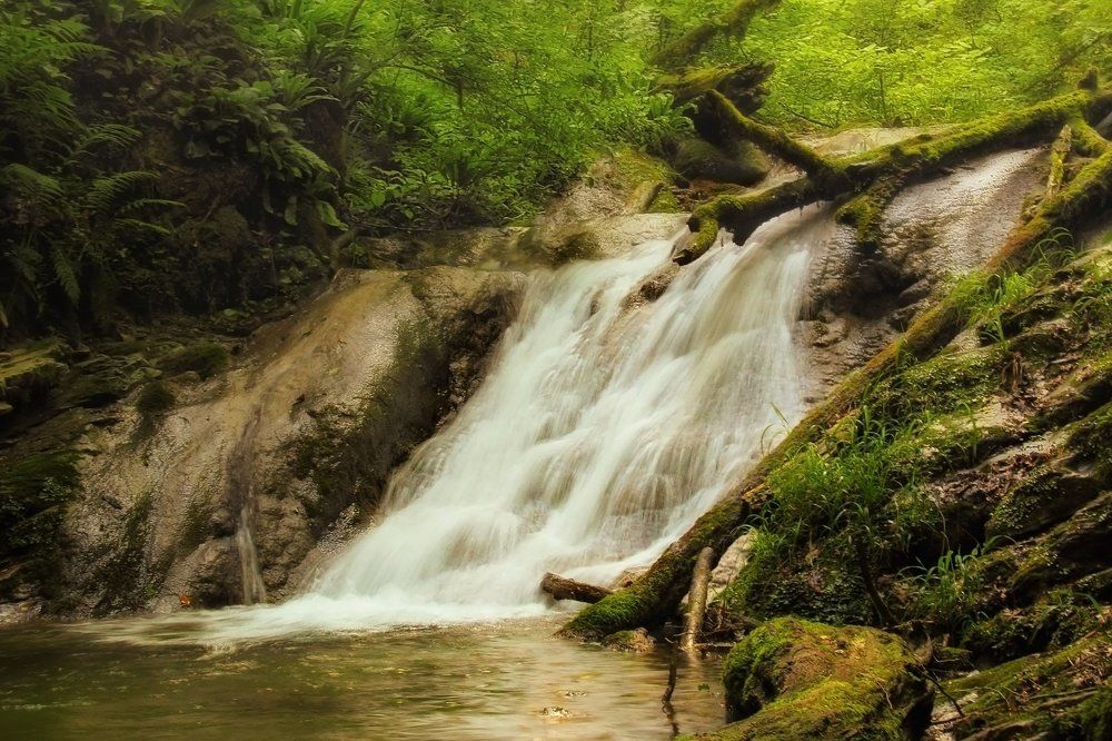 Водопад в лесу