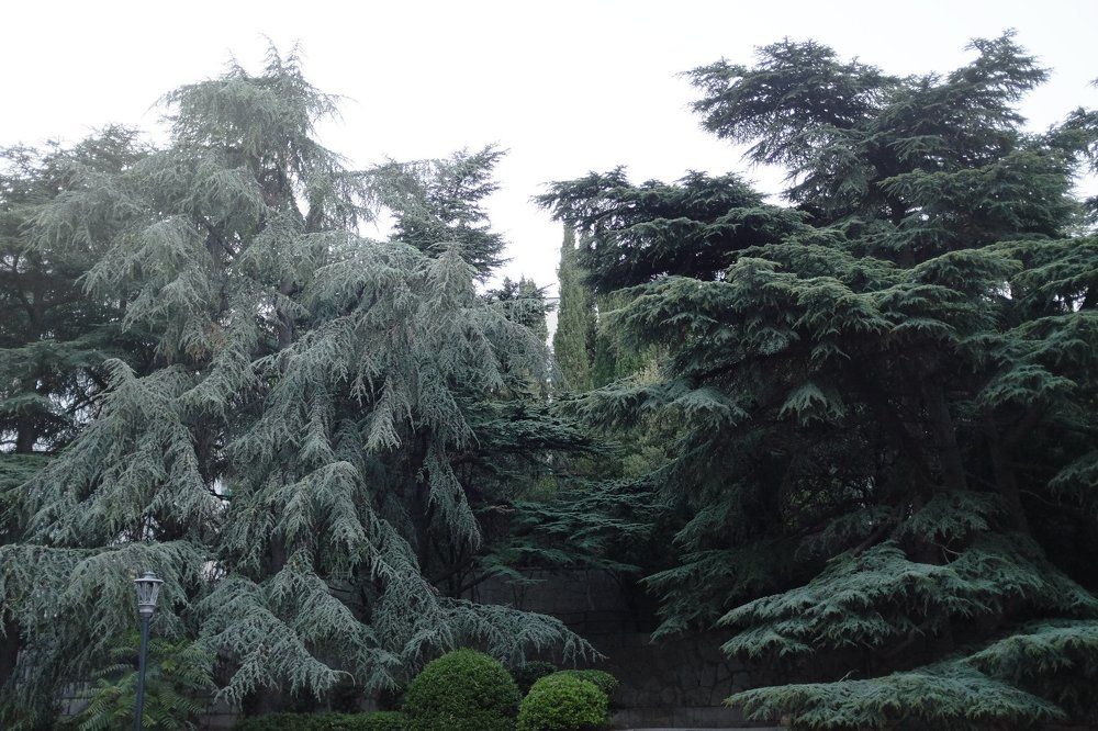 Photograph by Бондаренко Дмитрий