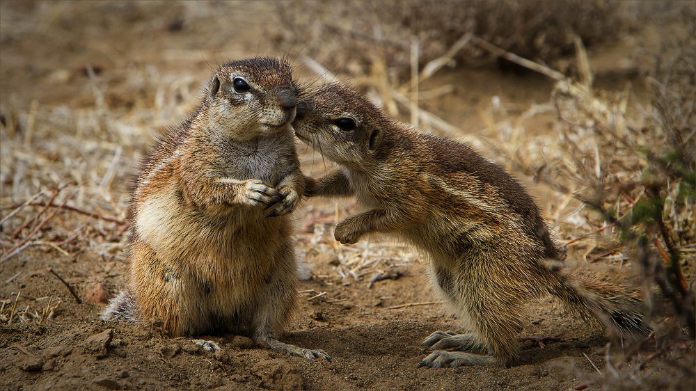 Do you want to know a secret