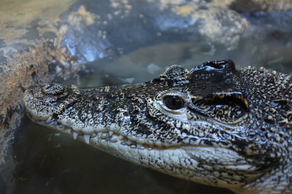 Photograph by Бондаренко Дмитрий