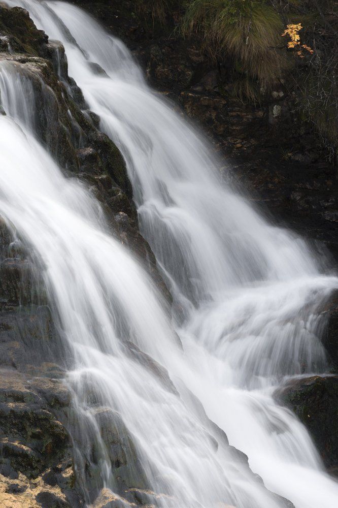 Золото долины Валаско