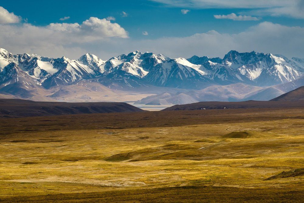 На просторах Арабели