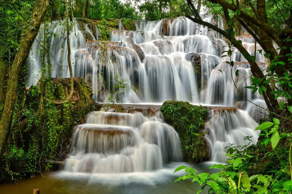 The beautiful nature